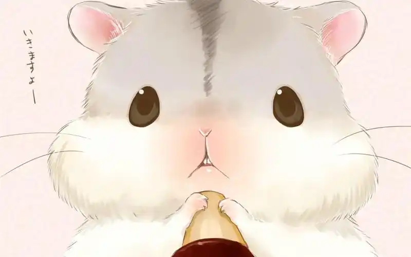 小仓鼠可爱卡通插画电脑桌面壁纸