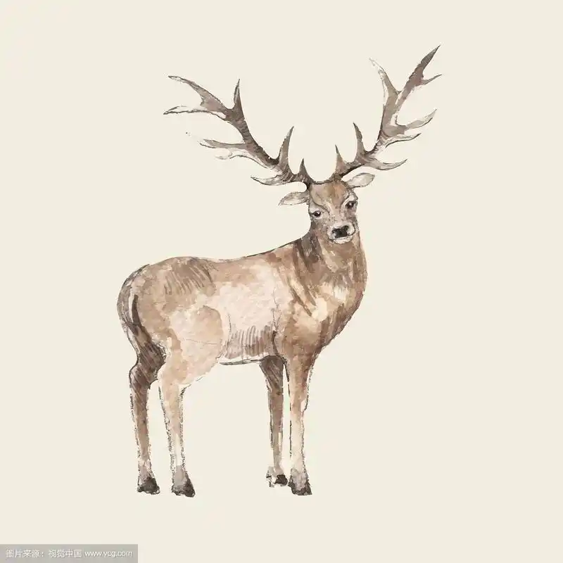 手绘鹿水彩风格