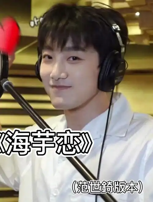 范世琦版本海芋恋太好听了