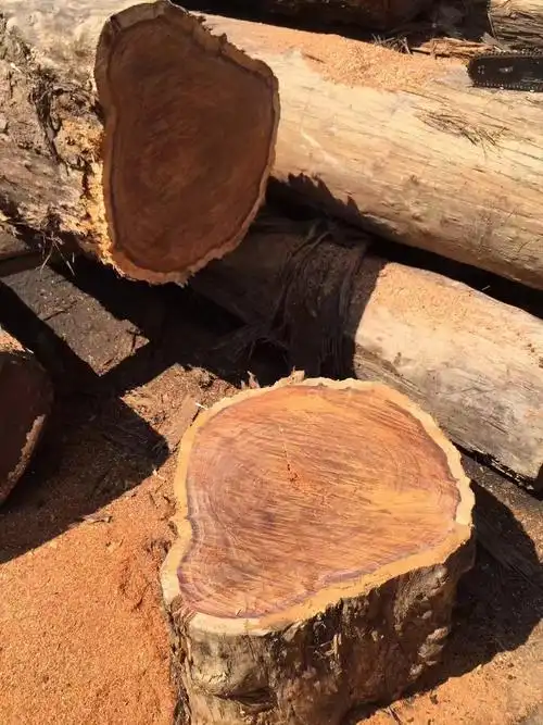 南美精品木材之白酸枝