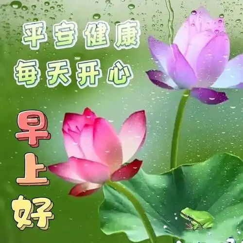 清晨友谊早安问候语图片文字 今日早上好漂亮聊天问候图片