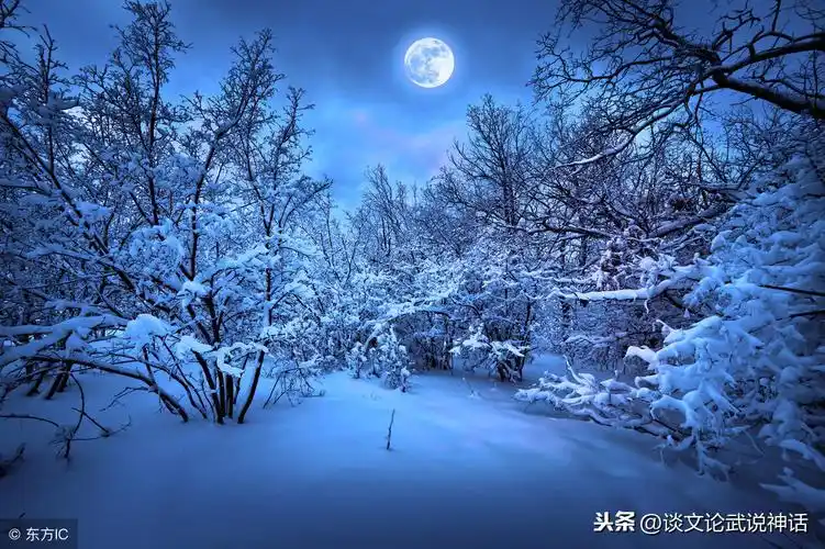 昔去花如雪今来雪似花什么意思雪景作诗一首