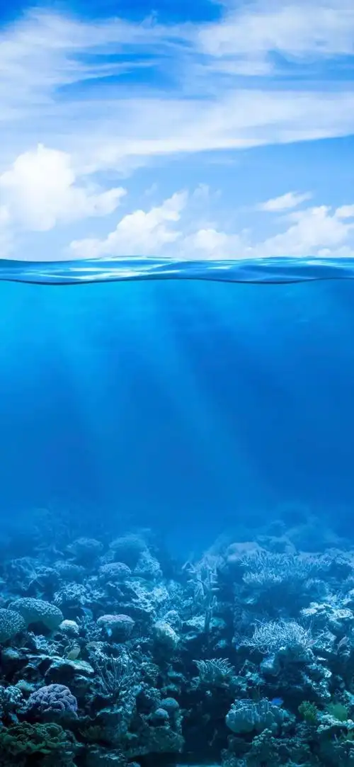 「高清壁纸」火爆全网的高清美图壁纸!收!