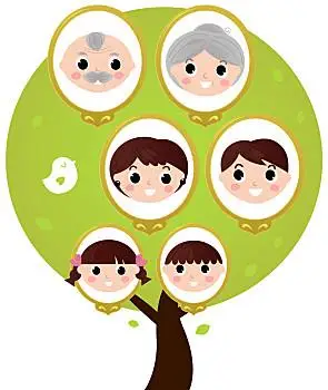 卡通,家谱,隔绝,白色背景,三代同堂,矢量,插画