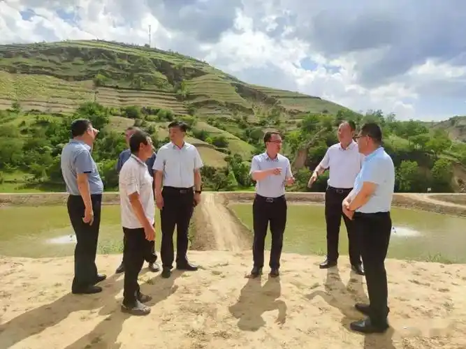 6月21日,县长李超鲲深入部分乡镇调研乡村振兴工作.