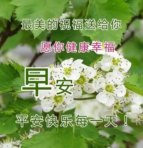 原创每天的问候语图片大全精美图片最新早上好动态表情图片