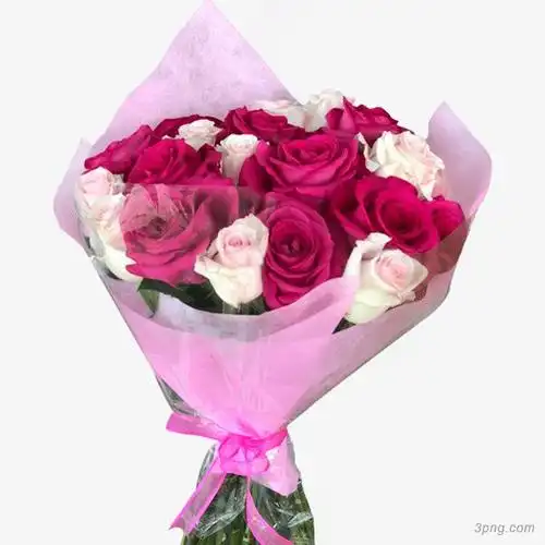 一束玫瑰花png素材透明免抠图片-动植人物