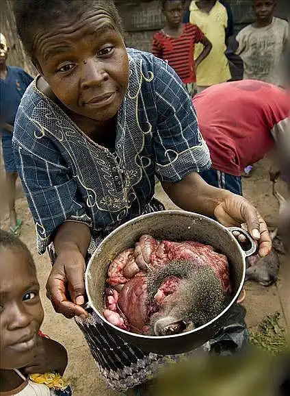 恐怖刚果人生吃猴子