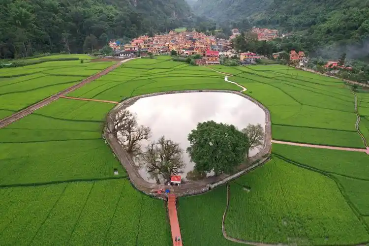 云南耿马县芒见村,就属于这样的地方吧?__财经头条