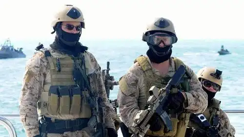 特种兵类型电影