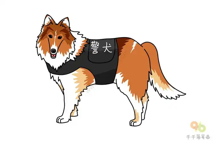 苏牧警犬简笔画