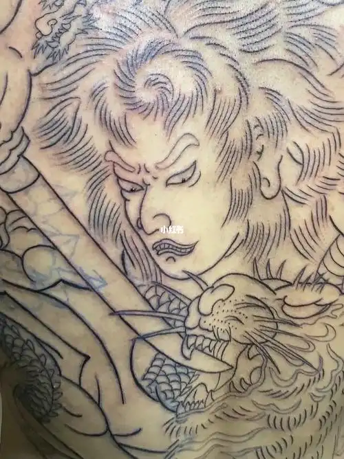 300文的满背线条值不值