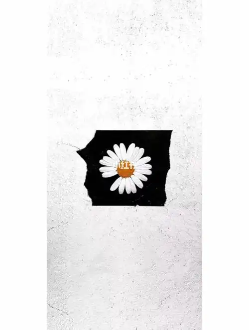 壁纸|权志龙雏菊98_壁纸_权志龙_雏菊_耐克怎么样_peaceminusone