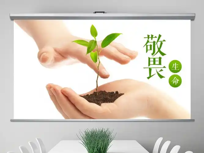 海澄中心上寮小学开展"敬畏生命,尊重他人"感恩教育活动