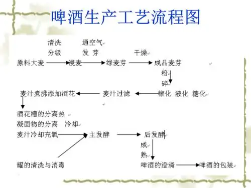 啤酒及生产工艺简介.ppt