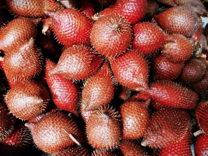 云南西双版纳水果篇