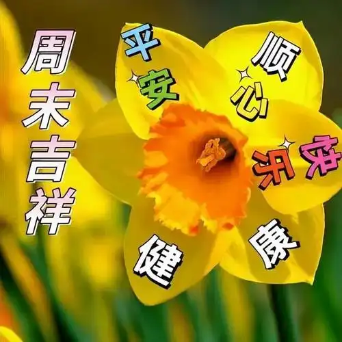 1. 时光如梭,一转眼就到了上午,祝你一天元气满满,上午好!