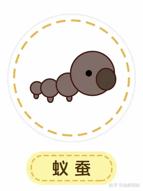 幼儿园环创‖蚕宝宝成长过程图 - 知乎