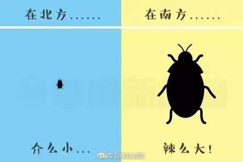 菲尼斯门窗南方vs北方门窗怎么选