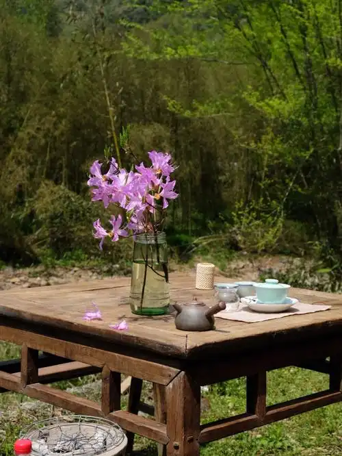 春光灿烂户外喝茶