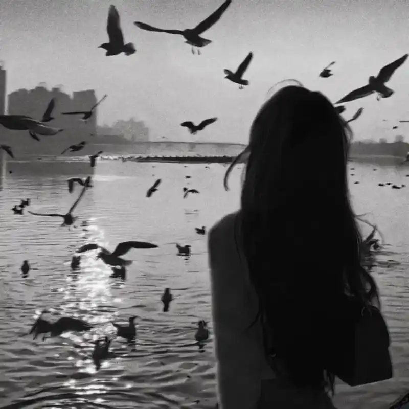 头像女高冷气质头像黑色背影图文 - 抖音