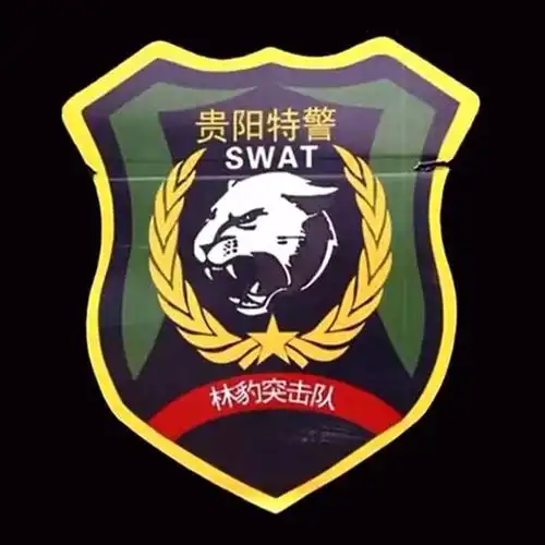 帅全国公安特警标志臂章图集