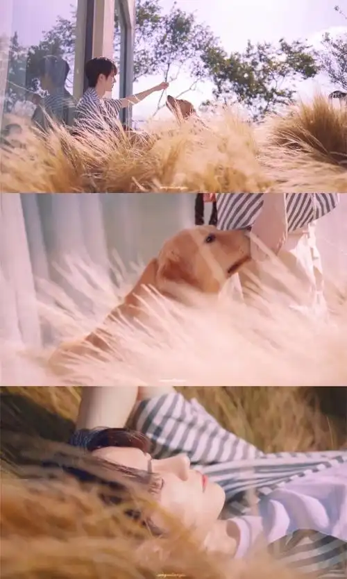 王一博三宫格 - 堆糖,美图壁纸兴趣社区