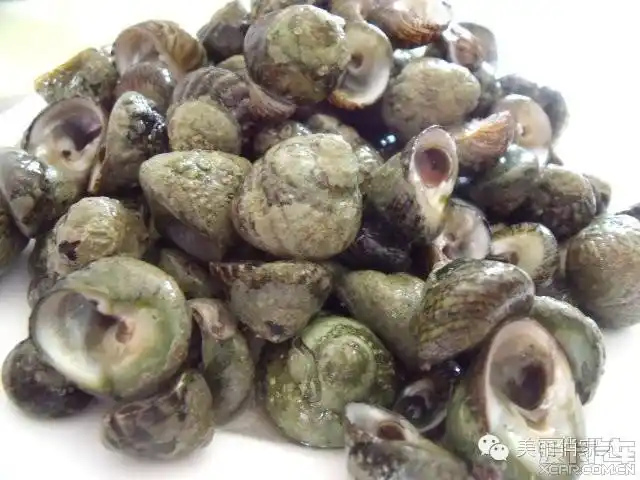 偏腚波螺… 查看本楼