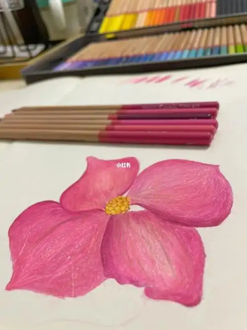 春天就是粉粉的颜色_彩铅_春天去哪玩_腮红_半坡国际艺术区攻略_插画