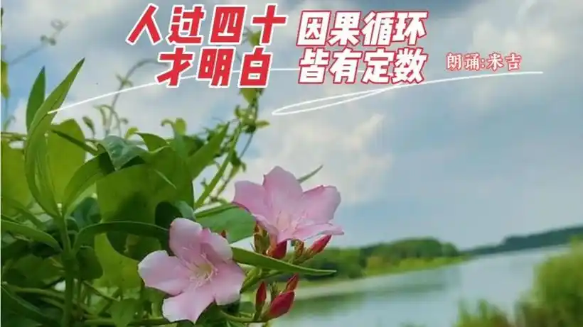 人过四十才明白 因果循环 皆有定数