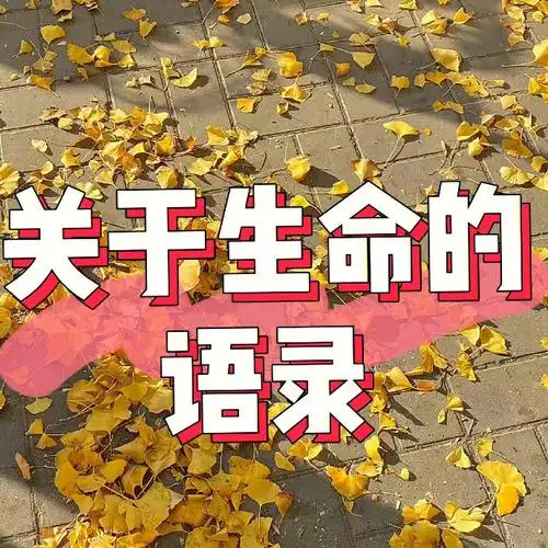 关于生命的语录