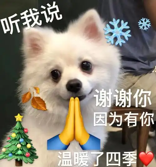 听我说谢谢你 表情包上线啦!