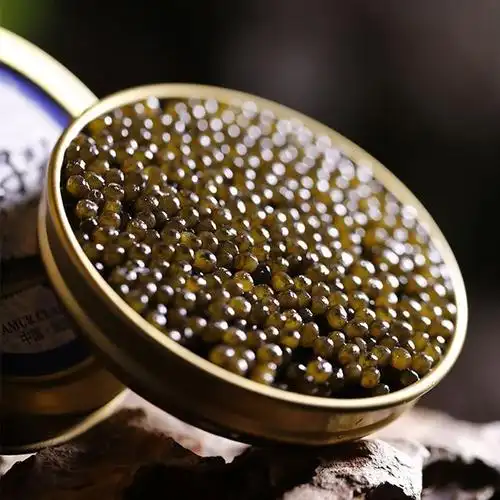 最贵的鱼子酱一盒多少钱(鱼子酱贵吗多少钱一斤)