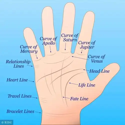 生命线短寿命就短生命线短代表什么