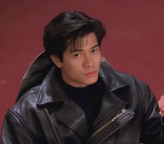 郭富城,香港乐坛的四大天王之一,这样的五官真的是无可挑剔.