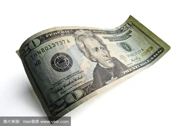 二十美元的钞票