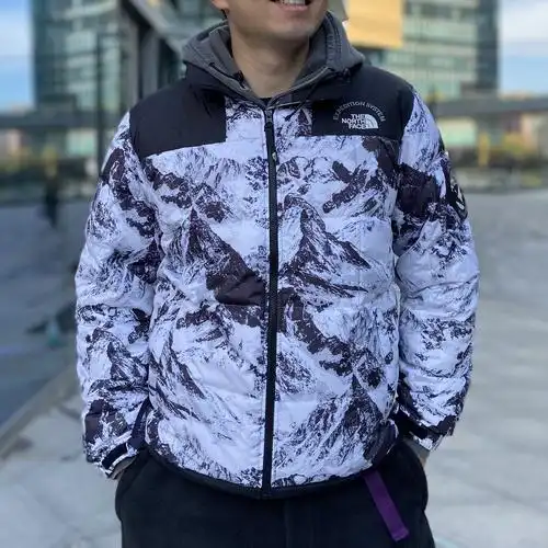 北面thenorthface限量鹅绒立领保暖拼色雪山运动羽绒服