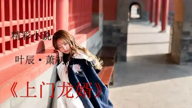 上门龙婿叶辰萧初然40集电视剧全