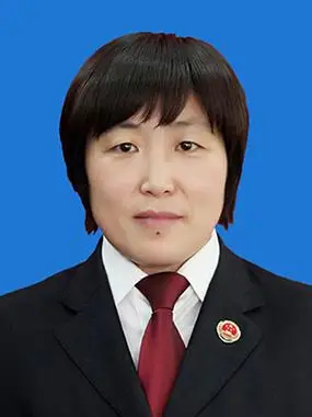 中共党员,河北省秦皇岛市卢龙县人民检察院检委会专职委员,一级检察官