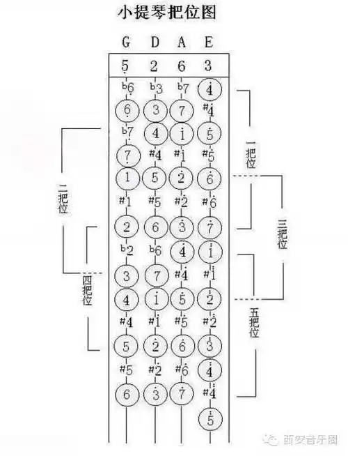 14个调性小提琴各把位手型图