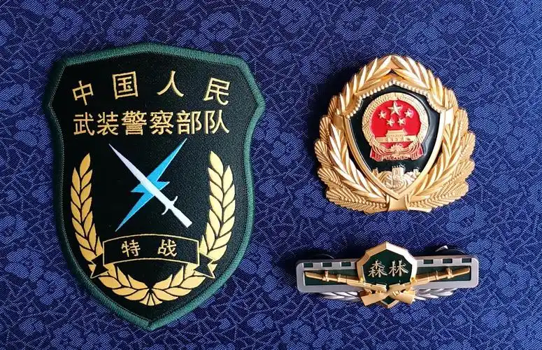 毛启国:武警部队16式臂章鉴赏