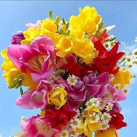 2023年微信吉祥图案 今年最吉利的微信头像(3)_布阁拉