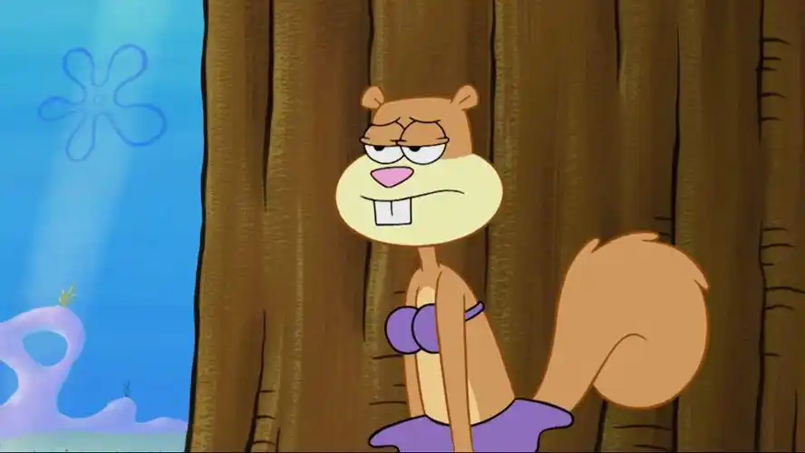 p>珊迪·奇克斯(英文名称:sandy cheeks)是美国动画片《 a target="