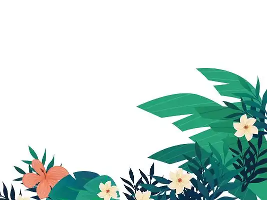 绿色手绘卡通花草叶子草丛矢量元素png素材