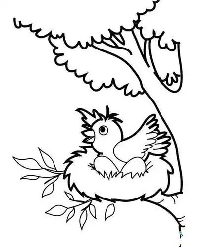 手绘树上鸟窝的画法图片树上鸟窝简笔画图片大树和小鸟简笔画大树简笔