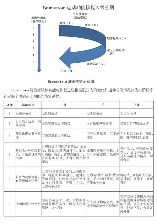 brunnstrom运动功能恢复6级分期
