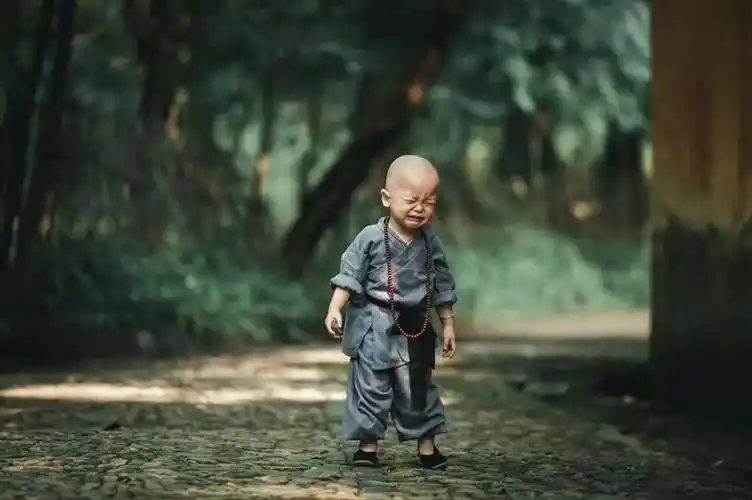 国清寺最萌小和尚他的笑瞬间击碎我所有烦恼