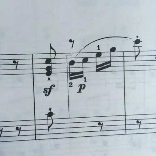 五线谱小节里的竖线是什么意思?如图