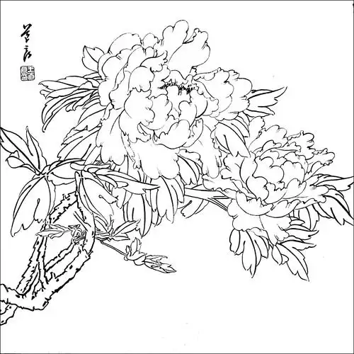 想学好工笔画先从白描开始