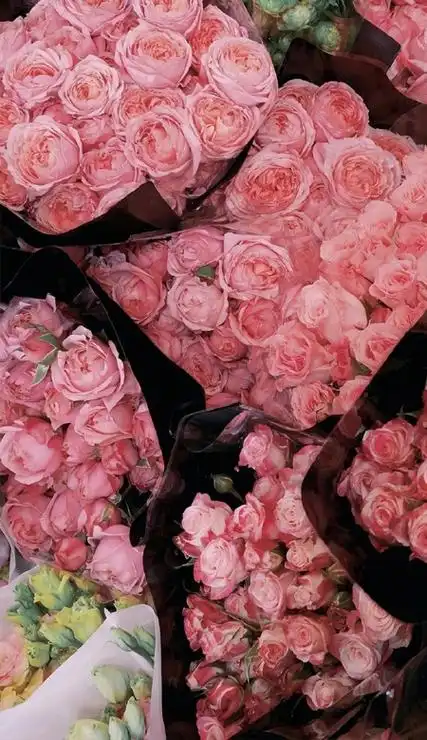 小红书很火的风格壁纸超美 慢慢变好才是给自己最好的礼物